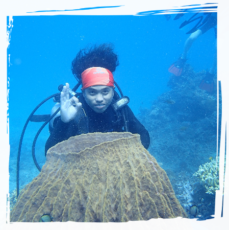Toto Dive Master
