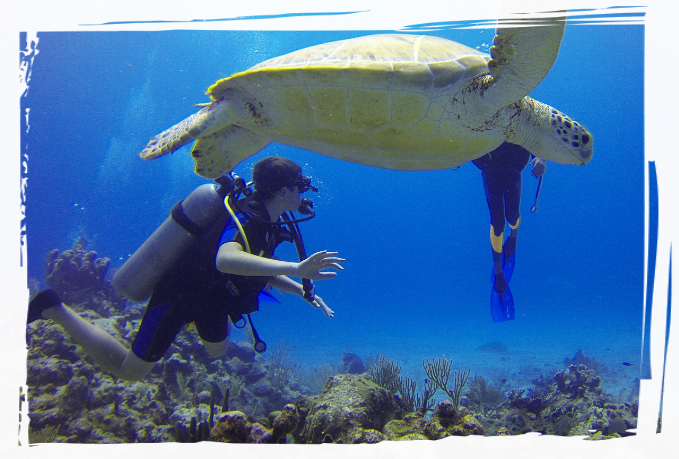 Beginne dein Taucherlebnis mit dem Open Water Diver Kurs. 